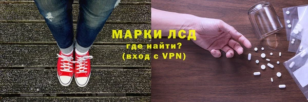 PSILOCYBIN Аркадак