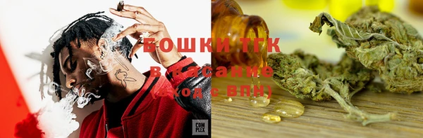PSILOCYBIN Аркадак