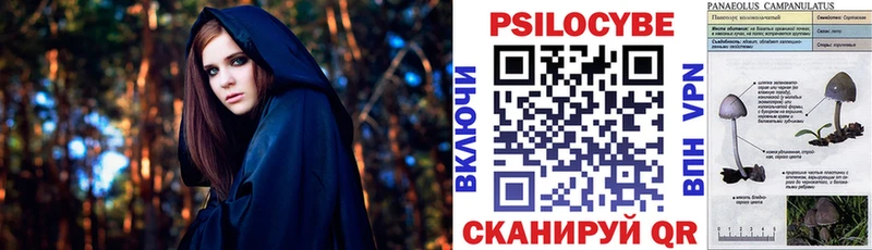 Галлюциногенные грибы Psilocybe Снежногорск