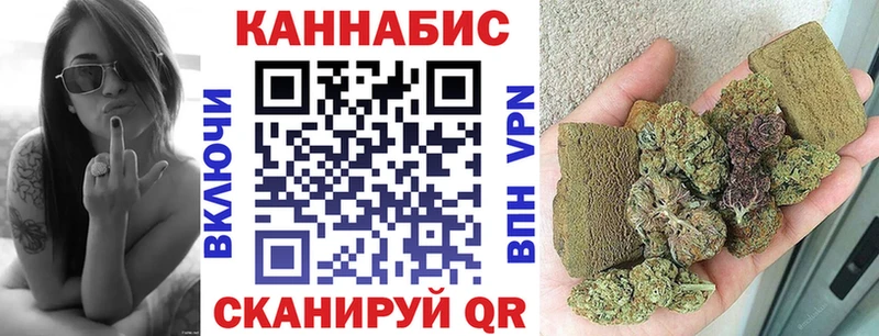 Каннабис план  блэк спрут как войти  Снежногорск 